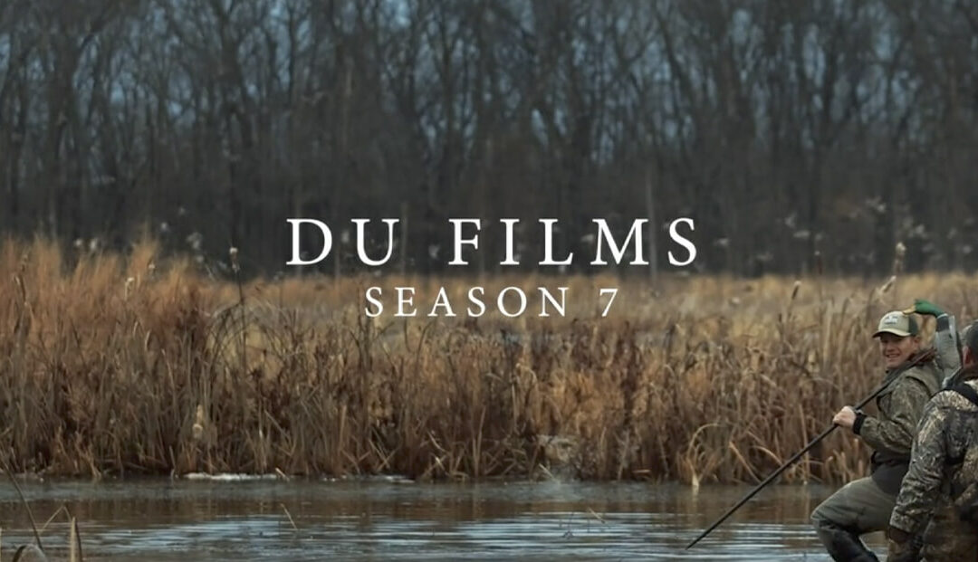 DU Films Season 7 Trailer