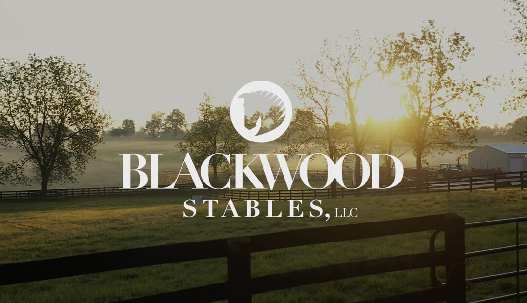 Blackwood Stables