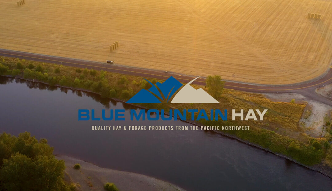 Blue Mountain Hay